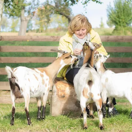 Schwalbennest Apartamento