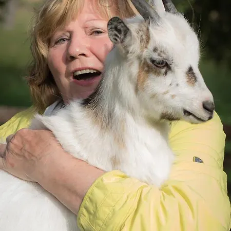 Schwalbennest Apartment *