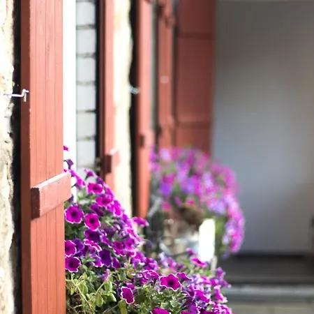 Apartamento Schwalbennest - Auszeit Auf Hof