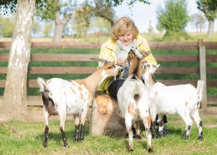 Schwalbennest 公寓