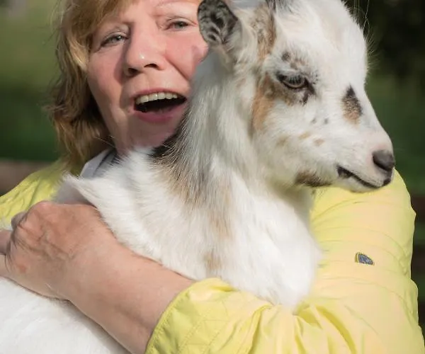 Schwalbennest Daire *